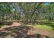 View of the backyard with a heavily wooded area at 40325 Emeralda Island Rd, Leesburg, FL 34788