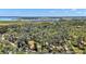Beautiful wooded homesite with waterfront views, offering privacy and a serene natural setting at 40325 Emeralda Island Rd, Leesburg, FL 34788