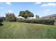 Expansive backyard featuring a lush lawn, mature trees, and neat hedges, offering privacy and space for outdoor activities at 517 San Pedro Dr, Lady Lake, FL 32159