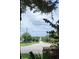 Scenic street view of Lake Griffin Road under a cloudy sky surrounded by mature trees and lush greenery at 5209 Grove Mnr, Lady Lake, FL 32159