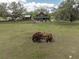 Large lot with a rusty old tractor in the foreground, leading up to a charming home at 8091 C 476B, Bushnell, FL 33513