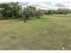 Large lot with green grass and a lone horse grazing in the distance at 8091 C 476B, Bushnell, FL 33513
