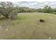 Large lot with green grass and an old rusty tractor on the land at 8091 C 476B, Bushnell, FL 33513