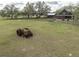 Charming property featuring a rustic tractor on lush lawn, complemented by a wooden house and surrounding trees at 8091 C 476B, Bushnell, FL 33513