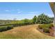 Expansive backyard featuring a lush lawn, mature trees, and a partial fence, ideal for outdoor enjoyment at 1016 Pickering Path, The Villages, FL 32163