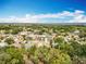 An elevated view of a neighborhood featuring established homes surrounded by greenery and beautiful blue sky at 13546 Biscayne Grove Ln, Grand Island, FL 32735