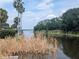 Scenic view of the lake bordered by palm trees, foliage, and a glimpse of the community homes at 16730 Beauclaire Ct, Tavares, FL 32778