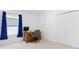 Bright bedroom with desk, chair, and double closet at 1674 Cadorette Dr, The Villages, FL 34762