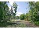View of backyard leading to a lake with trees and beautiful scenery at 17728 Palm View Cir, Mount Dora, FL 32757