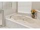 Close-up of a soaking tub with jets and a separate glass shower in a modern bathroom at 17728 Palm View Cir, Mount Dora, FL 32757