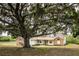 A sprawling tree frames the exterior of a cozy house with brick and siding details on a large lot at 17728 Palm View Cir, Mount Dora, FL 32757