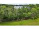 Green space view with an array of trees at 17728 Palm View Cir, Mount Dora, FL 32757