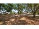 Large backyard offers plenty of shade and space for multiple vehicles at 17825 Whisperwind Dr, Clermont, FL 34715