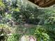 Large backyard with greenery and an overgrown landscape at 1920 Baxter Ave, Orlando, FL 32806