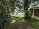 Backyard featuring mature trees and a ladder propped against the house at 1920 Baxter Ave, Orlando, FL 32806