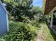 View of backyard showing greenery and a small shed at 1920 Baxter Ave, Orlando, FL 32806