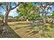 Spacious backyard with mature trees, lush grass, and a charming fire pit area for outdoor gatherings at 2209 Hutchinson Ave, Leesburg, FL 34748