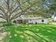Backyard featuring a large tree and lush green grass at 2401 Greenlaw Ct, Leesburg, FL 34788