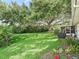 Backyard with a large tree and green grass at 2401 Greenlaw Ct, Leesburg, FL 34788