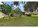 Expansive backyard with lush green grass, mature trees, and a screened-in lanai, perfect for outdoor living at 3584 Tropical Seas Loop, Tavares, FL 32778