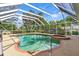 Sparkling pool and spa with screened enclosure, offering privacy and relaxation at 39206 Treeline Dr, Lady Lake, FL 32159