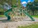 A playground featuring multiple slides and climbing structures in a safe, sandy area surrounded by mature trees and green grass at 39653 Grove Hts, Lady Lake, FL 32159