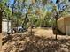 Large backyard features storage shed, string lighting, and a mix of trees and shaded areas at 40226 Palm St, Lady Lake, FL 32159