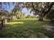 Picturesque backyard showcasing a sprawling lawn and grand, moss-draped trees, offering a serene and shaded retreat at 5495 County Road 125, Wildwood, FL 34785