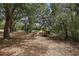 A rustic chicken coop surrounded by mature trees provides a country living experience at 5787 Marion County Rd, Lady Lake, FL 32159