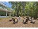 Inviting fire pit with seating area surrounded by mature trees for outdoor gatherings at 5787 Marion County Rd, Lady Lake, FL 32159