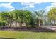 Lush backyard with hedges and a large palm tree against the house at 857 Enisgrove Way, The Villages, FL 32163
