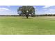 Expansive green backyard featuring a mature tree and a serene water view for ultimate relaxation at 1721 Sunset Ridge Dr, The Villages, FL 32162