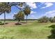 Expansive backyard view featuring lush green grass and a distant golf course with mature palm trees at 1721 Sunset Ridge Dr, The Villages, FL 32162