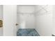 Walk-in closet with white walls, blue carpet, and wire shelving for storage at 17587 Se 95Th Cir, Summerfield, FL 34491