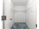 Walk in closet featuring carpeting and wire shelving for optimal storage space at 17587 Se 95Th Cir, Summerfield, FL 34491