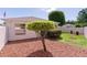 Beautifully landscaped yard with green grass, mulch, and decorative tree at 2128 Alfredo Ave, Lady Lake, FL 32159
