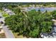 Aerial view of a community with mature trees, houses, and a winding road at 24802 Pine Hl, Leesburg, FL 34748
