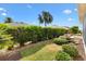 The landscaped backyard has a rock water feature and well maintained privacy hedges at 2669 Halsey Ter, The Villages, FL 32162