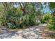 View of a long driveway leading up to a gated home with lush landscaping and trees at 300 Carol Ann Dr, Edgewater, FL 32132