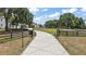 A long driveway leads to a home on a sprawling lot, surrounded by lush greenery, ensuring privacy at 6905 Clayton St, Mount Dora, FL 32757