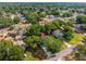 Scenic aerial view of a well-maintained home nestled among lush trees in a quiet neighborhood at 10033 Canterbury Dr, Leesburg, FL 34788