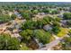 Scenic aerial view of a well-maintained home nestled among lush trees in a quiet neighborhood at 10033 Canterbury Dr, Leesburg, FL 34788