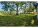 Expansive backyard with mature trees and lush lawn, offering ample space for outdoor activities and relaxation at 10033 Canterbury Dr, Leesburg, FL 34788