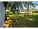 Spacious backyard featuring mature trees, providing shade and a serene environment at 10033 Canterbury Dr, Leesburg, FL 34788