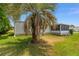 Spacious backyard with a sunroom, palm tree, and well-maintained lawn at 1109 Paradise Dr, The Villages, FL 32159
