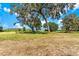 Expansive yard features mature trees and lush landscaping leading to the waterfront at 2400 N Griffin Dr, Leesburg, FL 34748
