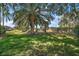 Expansive green lawn with mature palm trees offers a peaceful and shaded outdoor space at 25129 Riverwalk Dr, Leesburg, FL 34748