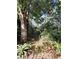 Heavily wooded backyard with lush green foliage in a tranquil setting at 2539 Caithness Way, Clermont, FL 34714