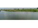 Expansive waterfront featuring tranquil waters, lush greenery, and unobstructed scenic views at 2641 Meadow View Ct, Kissimmee, FL 34746
