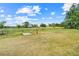 Open grass-covered lot enclosed by a fence, featuring a small concrete slab and a centered red pole, perfect for development at 274 W Kings Hwy, Center Hill, FL 33514